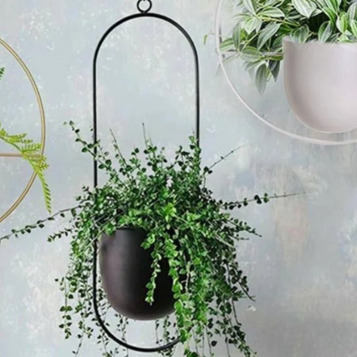 Wall-Mount Planter Pot with Circular Metal Frame for Indoor Outdoor Plants, Herbs & Succulents in Living Room, Kitchen | Thomler