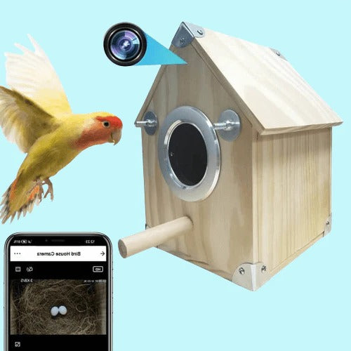 Bird Watching Nesting Feeder Nest Cam Box with Camera