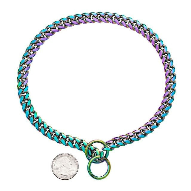 Collar resistente para perros
