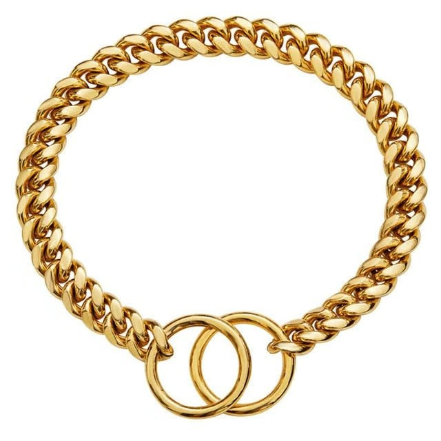Collar resistente para perros