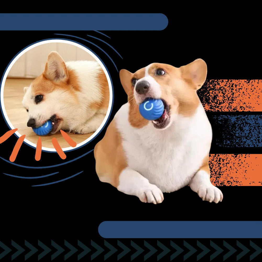 Pelota interactiva para perros que evita obstáculos