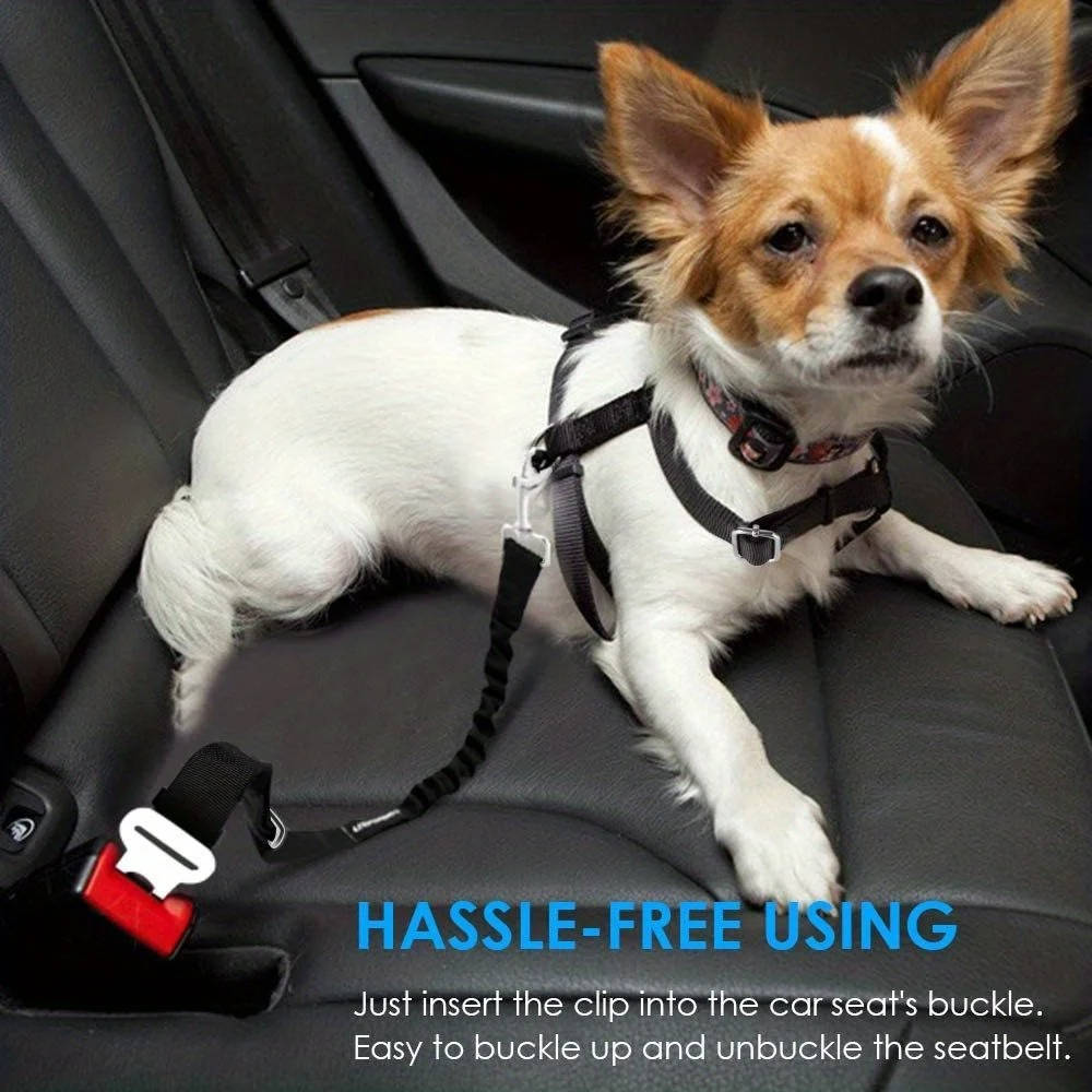Veiligheidsgordel voor honden in de auto