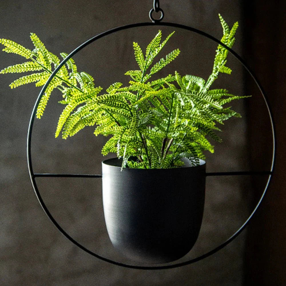 Wall-Mount Planter Pot with Circular Metal Frame for Indoor Outdoor Plants, Herbs & Succulents in Living Room, Kitchen | Thomler