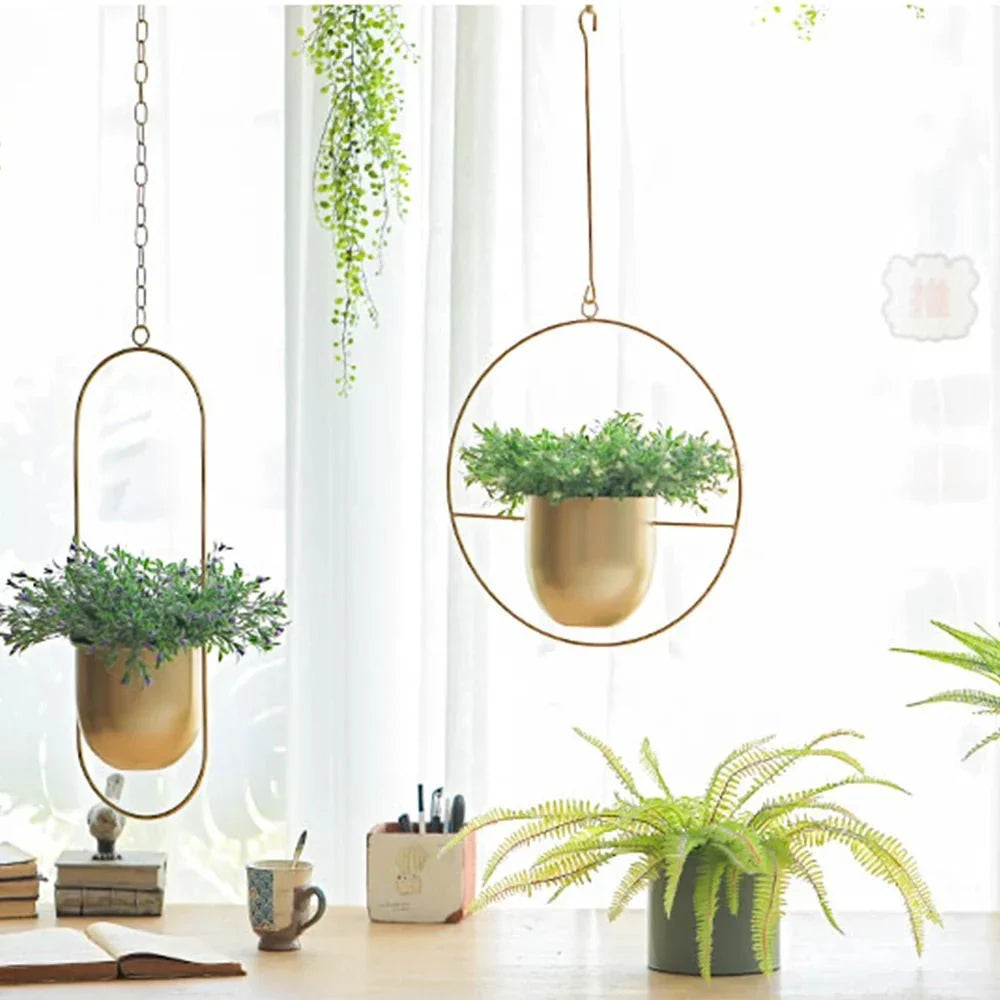 Wall-Mount Planter Pot with Circular Metal Frame for Indoor Outdoor Plants, Herbs & Succulents in Living Room, Kitchen | Thomler
