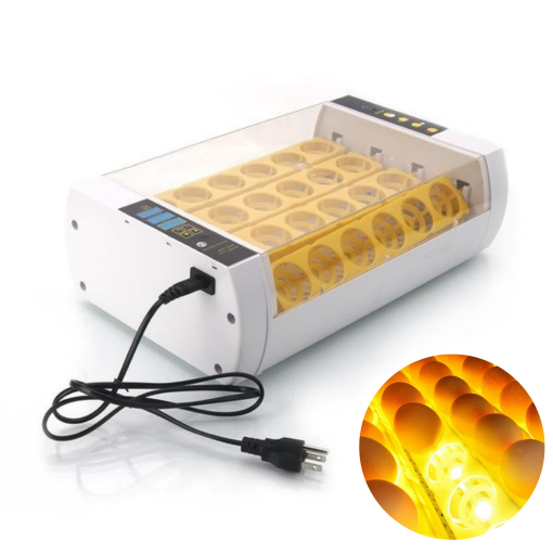 Egg Incubator Automatic Chicken Quail Egg Hatcher 24 Eggs