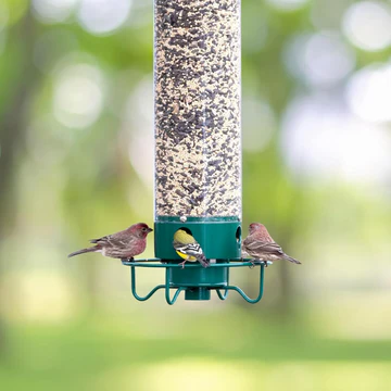 Weight-Activated Spinning Bird Feeder for Outdoors with Anti-Squirrel Rotating Perch Metal Seed Dispenser for Cardinals Finches Wild Birds B