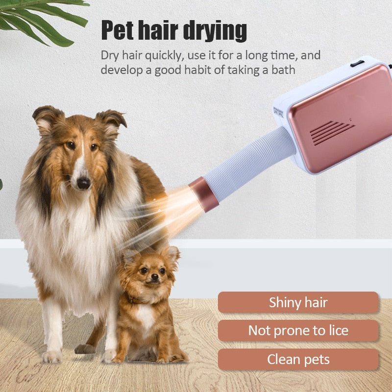 Portable Electric Clothes Dryer with Heated Air Circulation for Quick Drying