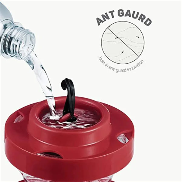 Comedero para colibríes a prueba de abejas con percha - capacidad de 16 oz fl