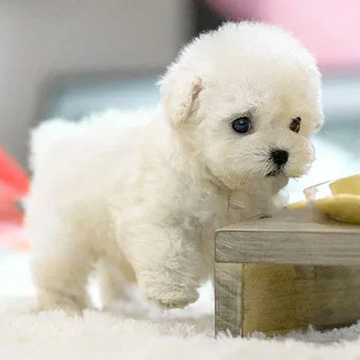 Touch-Activated Robotic Stuffed Animal Puppy Toy Responds to Petting Moves Head and Tail Battery Powered Companion for Kids Elderly Dementia | Thomler