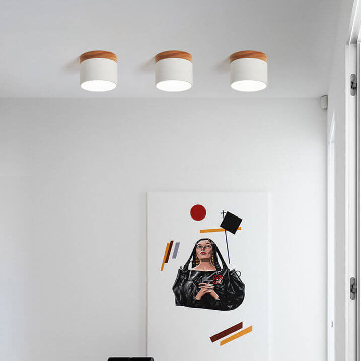 Compact Surface-Mount LED Light Fixture 4 in Round Multi-Color Adjustable Temperature for Entryways