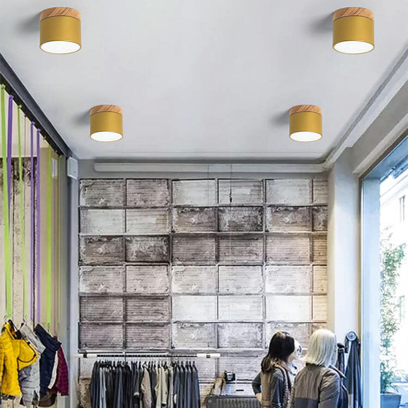Compact Surface-Mount LED Light Fixture 4 in Round Multi-Color Adjustable Temperature for Entryways