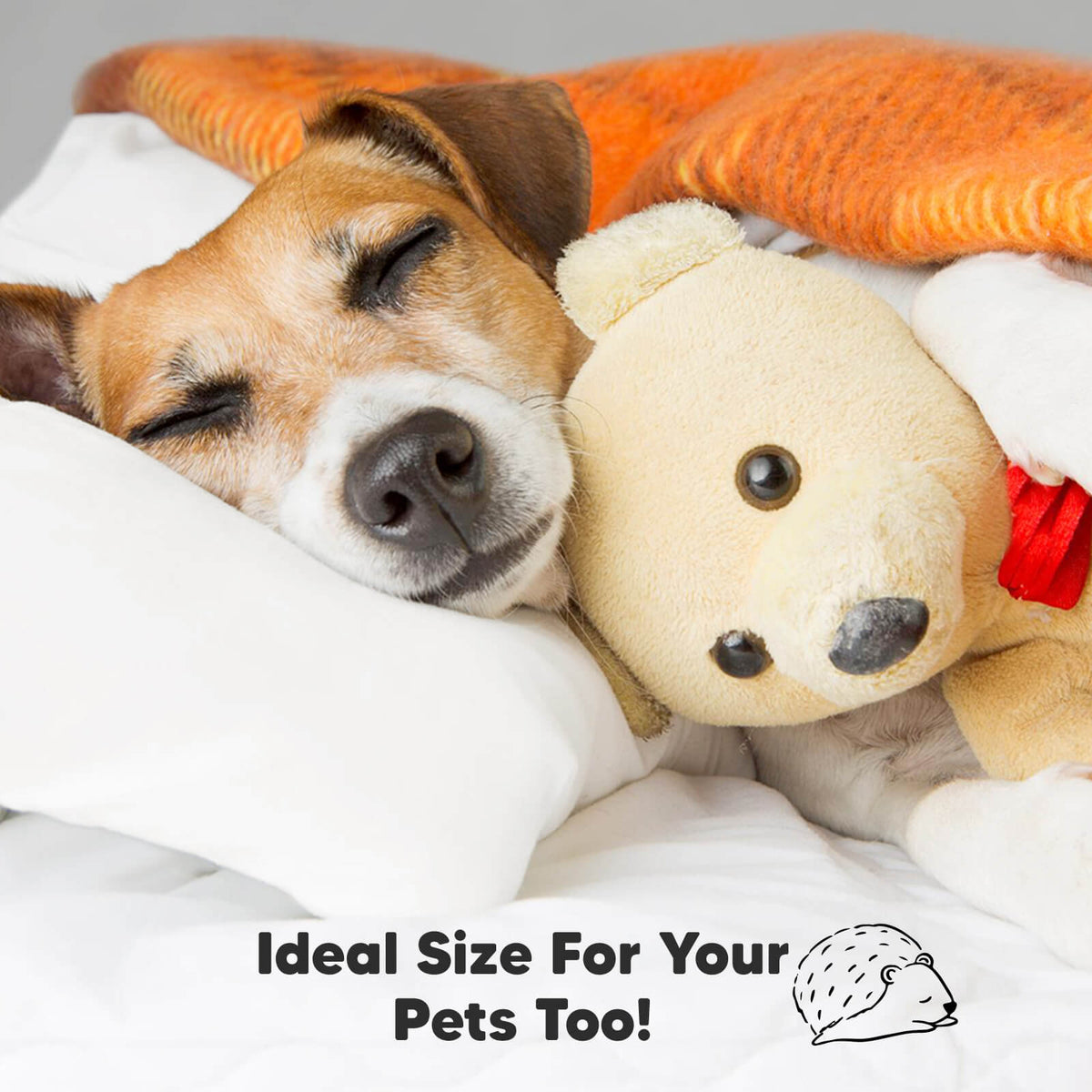 1-Pack Toddler Pillow Without Pillowcase