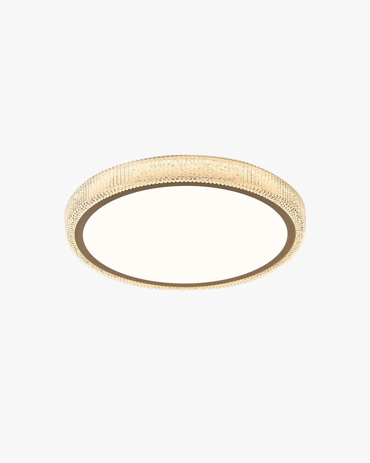 Round Flush Mount LED Ceiling Light 22W Low Profile Modern Fixture for Bedrooms Living Rooms Hallways Warm White 2700K 1200 Lumens Metal Acr | Thomler