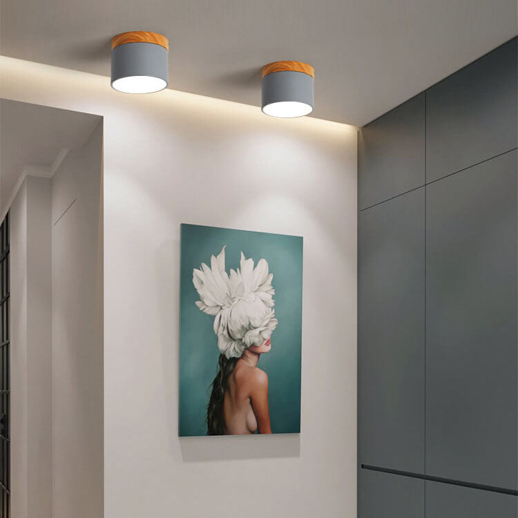 Compact Surface-Mount LED Light Fixture 4 in Round Multi-Color Adjustable Temperature for Entryways