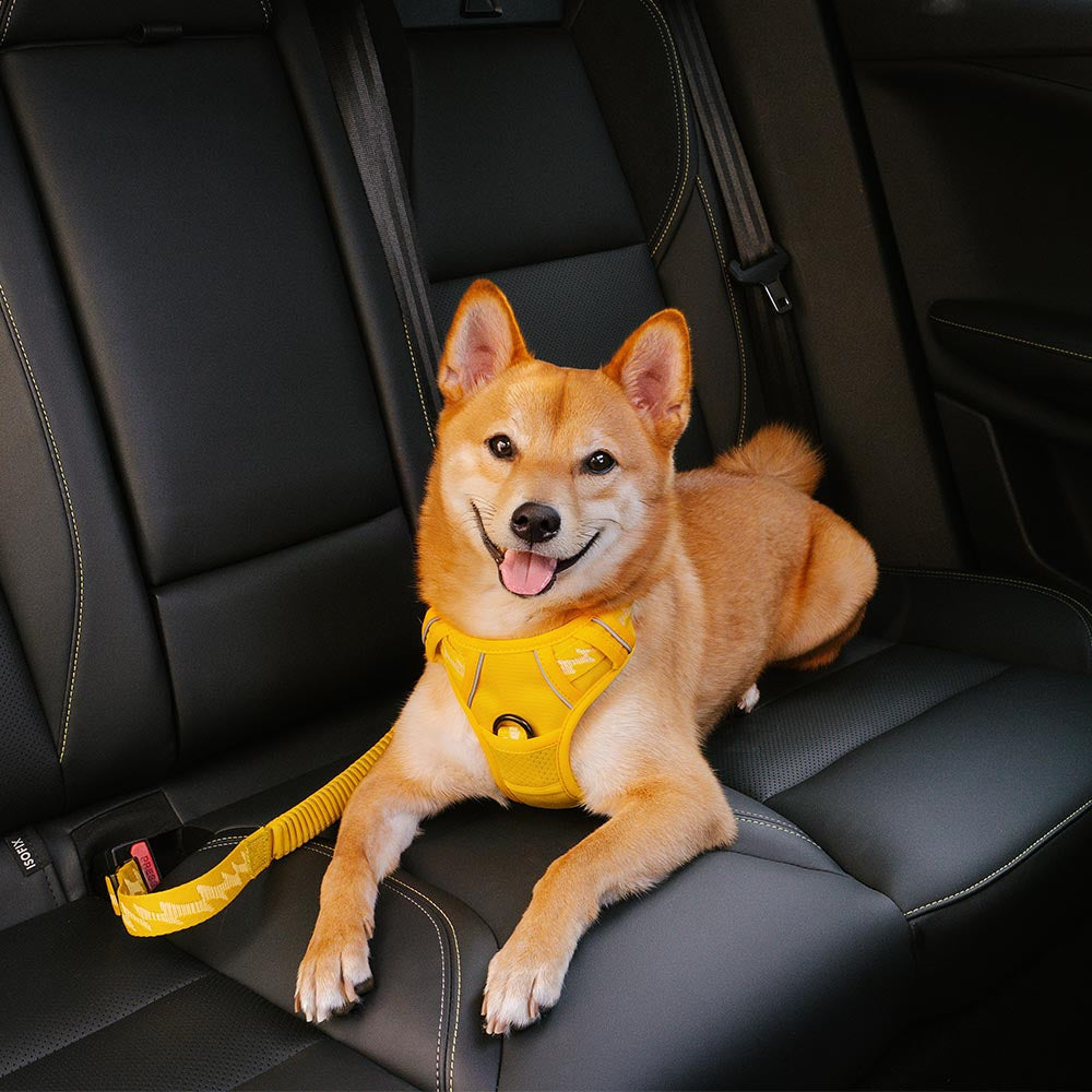 Adjustable Pet Safety Harness Tether for Car Travel with Reflective Strap & Elastic Shock Absorber for Dogs
