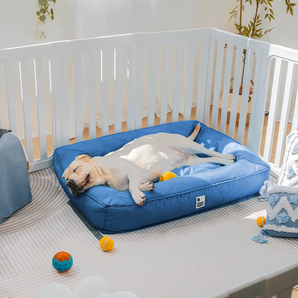 Cama para perro con bordes elevados, espuma para alivio articular y funda impermeable para razas grandes
