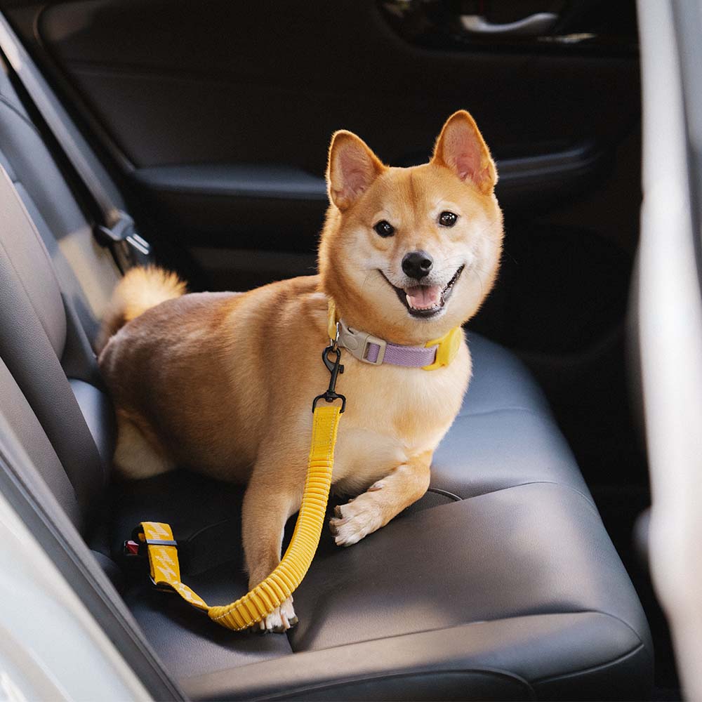 Adjustable Pet Safety Harness Tether for Car Travel with Reflective Strap & Elastic Shock Absorber for Dogs