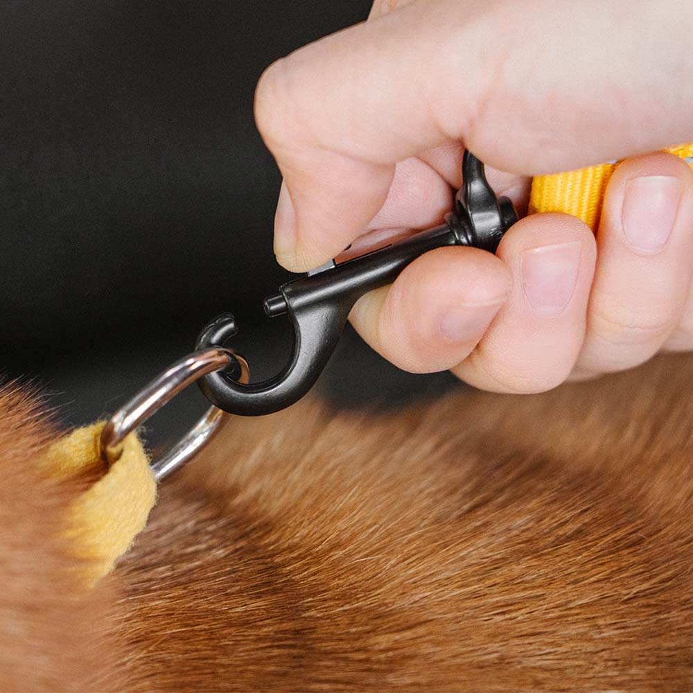 Adjustable Pet Safety Harness Tether for Car Travel with Reflective Strap & Elastic Shock Absorber for Dogs