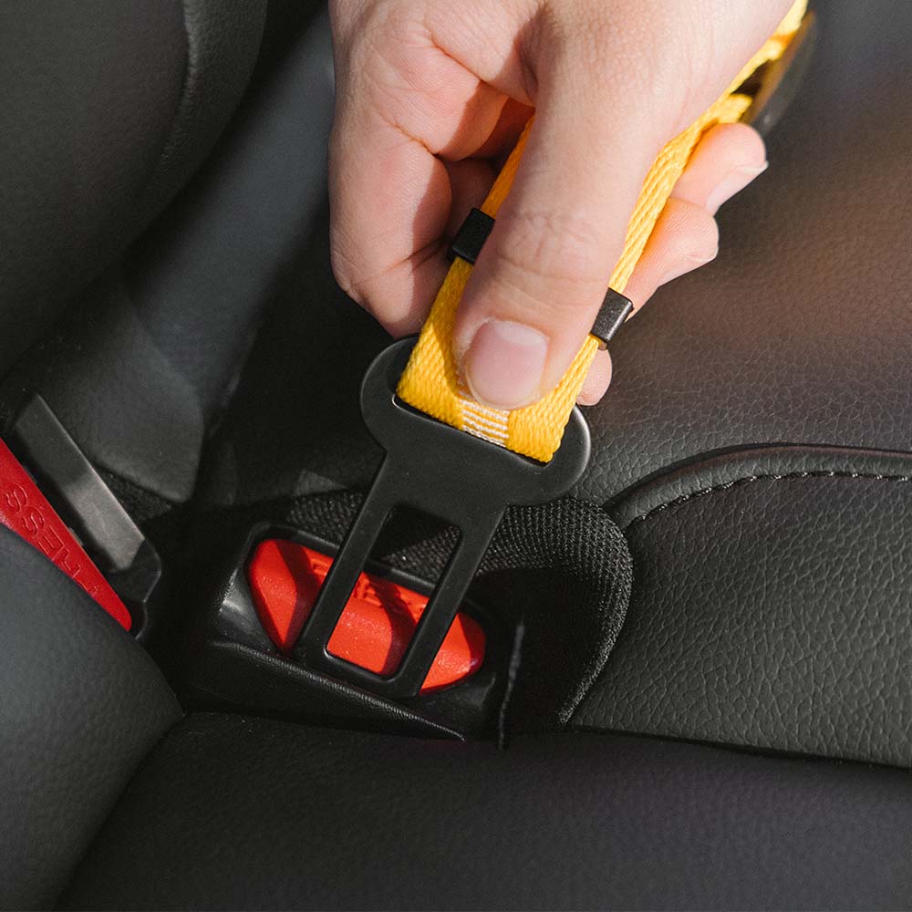 Adjustable Pet Safety Harness Tether for Car Travel with Reflective Strap & Elastic Shock Absorber for Dogs