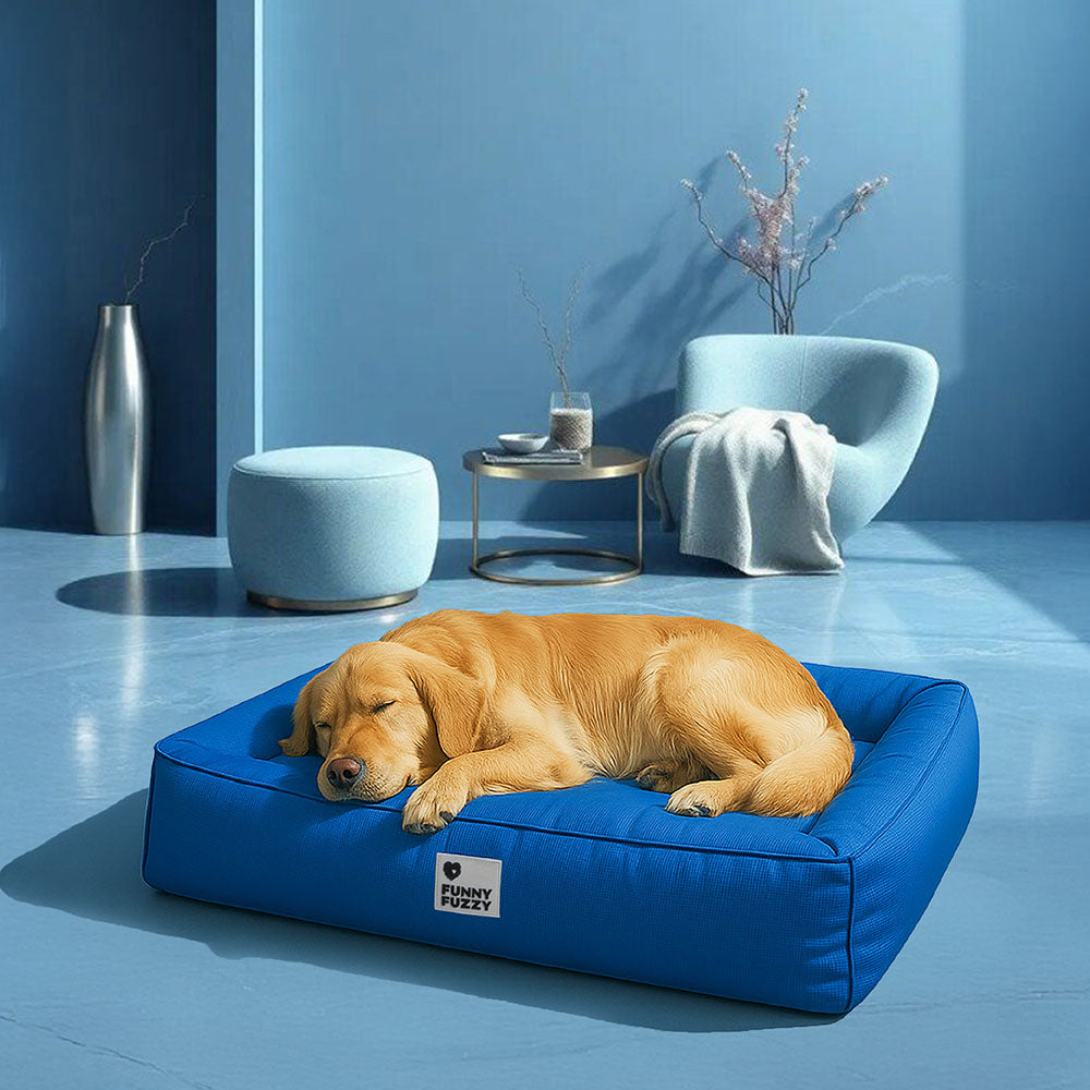 Cama para perro con bordes elevados, espuma para alivio articular y funda impermeable para razas grandes