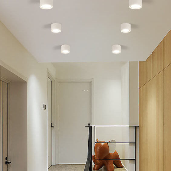 Low-Profile LED Ceiling Light 4.7 in Round Fixture 12W Contemporary Overhead Lighting for Bedrooms Hallways Home & Office Compact Surface-Mo | Thomler