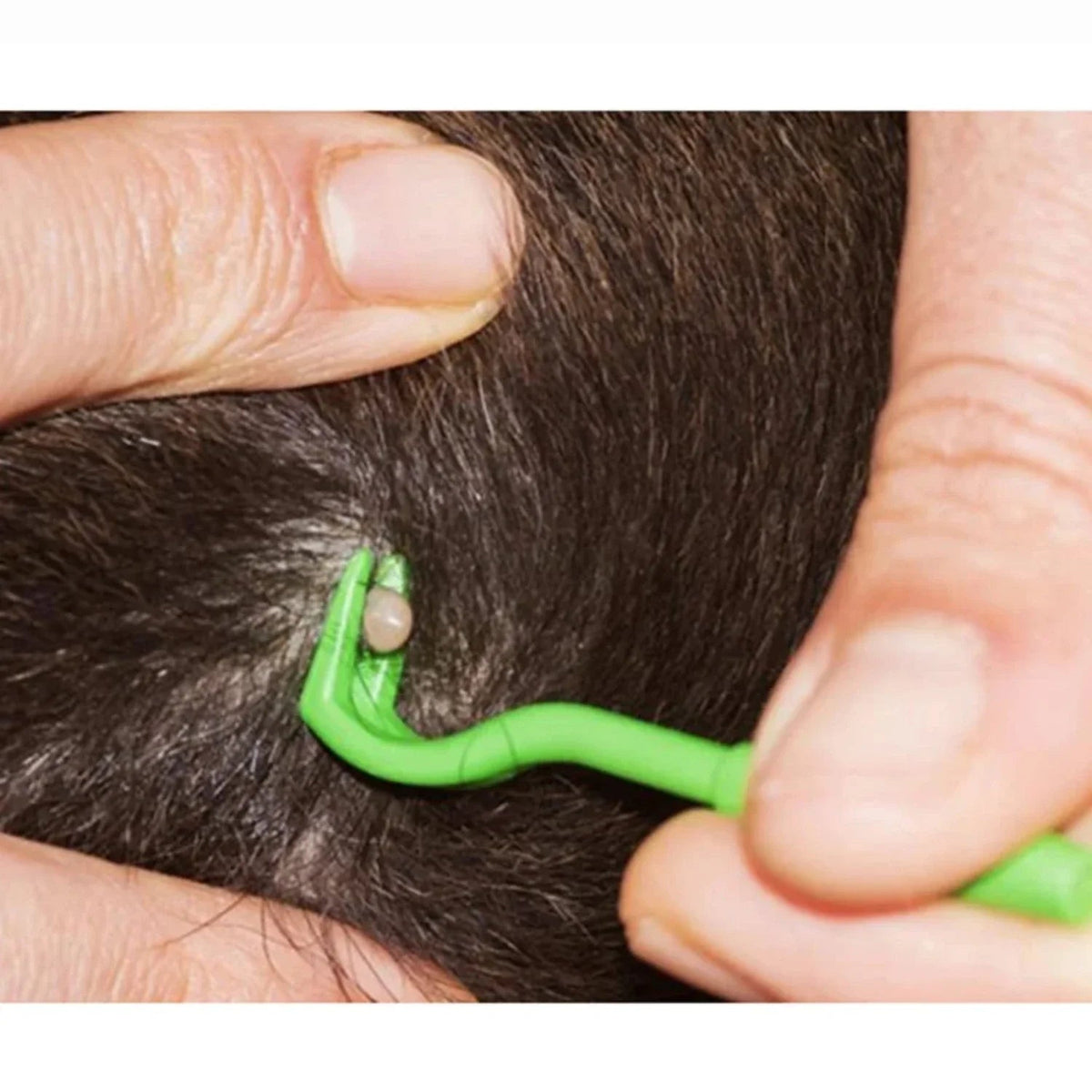 Dispositivo para quitar garrapatas para perros y mascotas