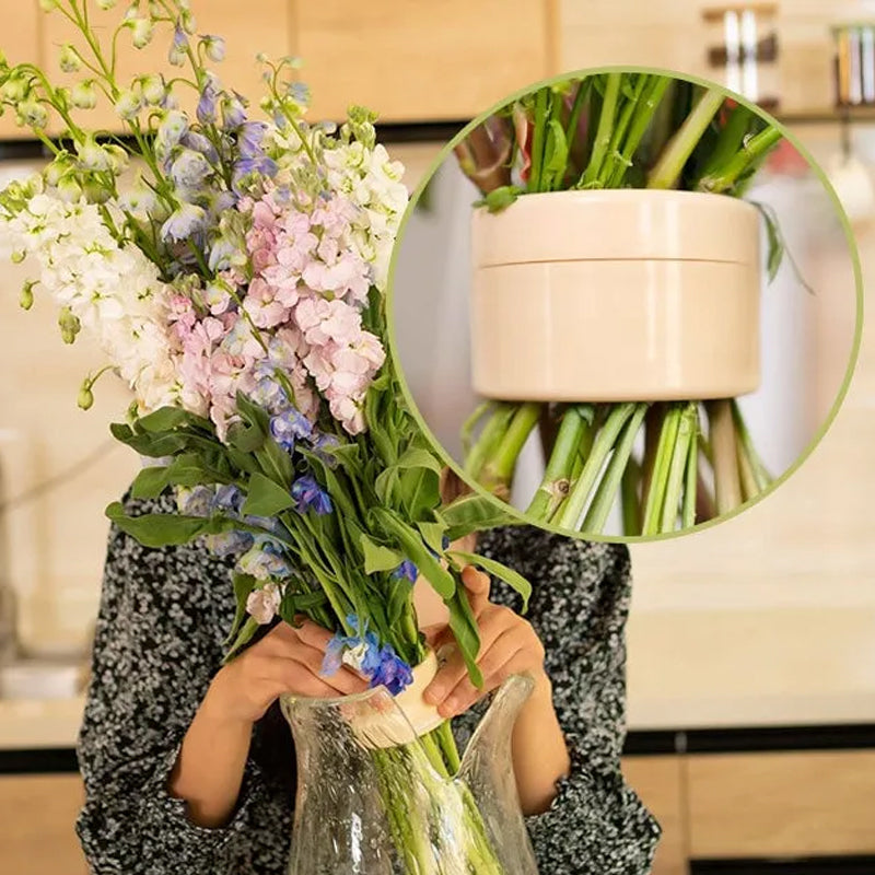 Spiral Flower Stem Holder for Vases – Arranging Support Grid for Fresh Bouquets and Floral Displays in Multiple Colors and Sizes | Thomler