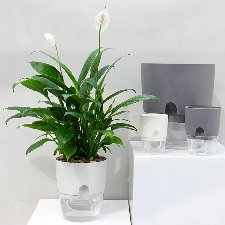 Zelfbewaterende plantenbak