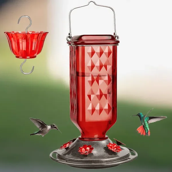 Comedero de vidrio para colibríes, 24oz, a prueba de fugas
