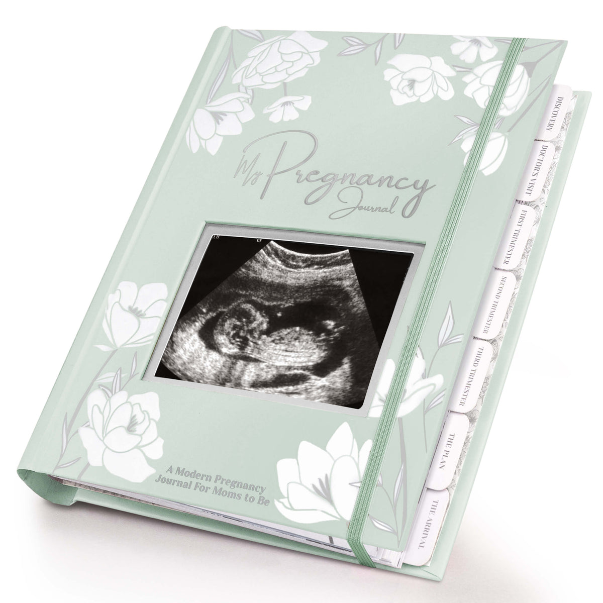 Illustrated Pregnancy Journal