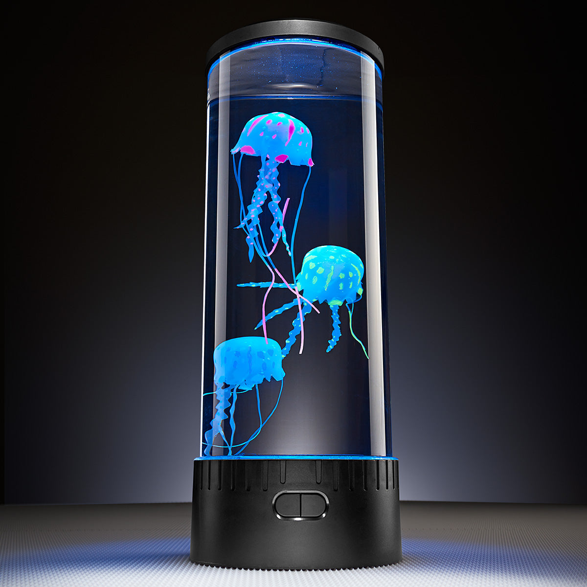 Kwallenaquarium