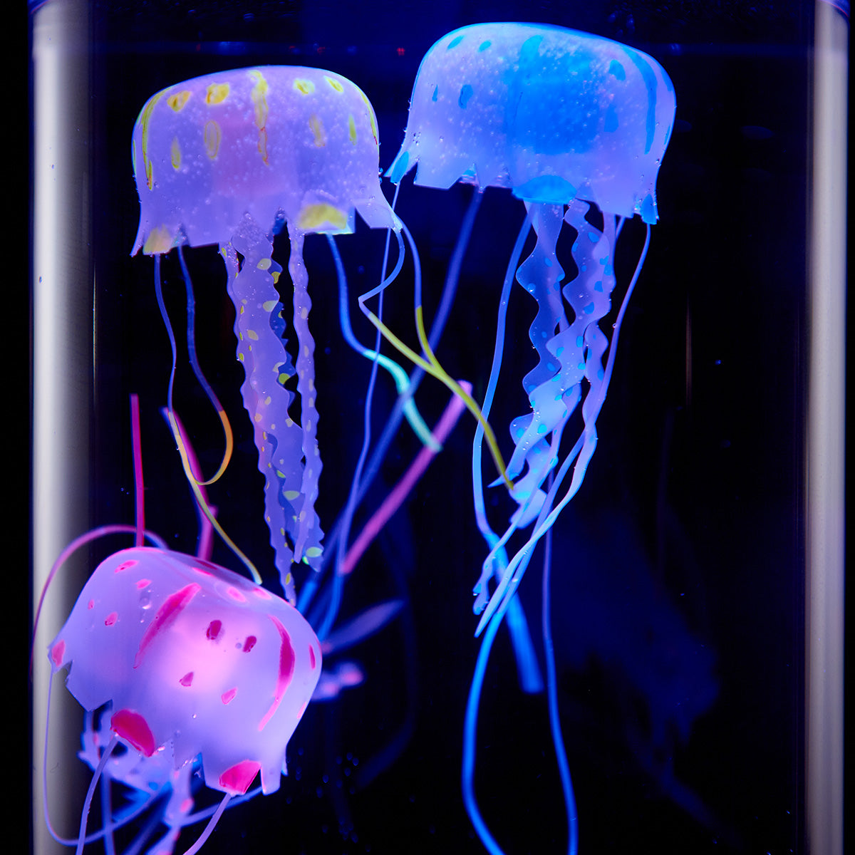 Kwallenaquarium