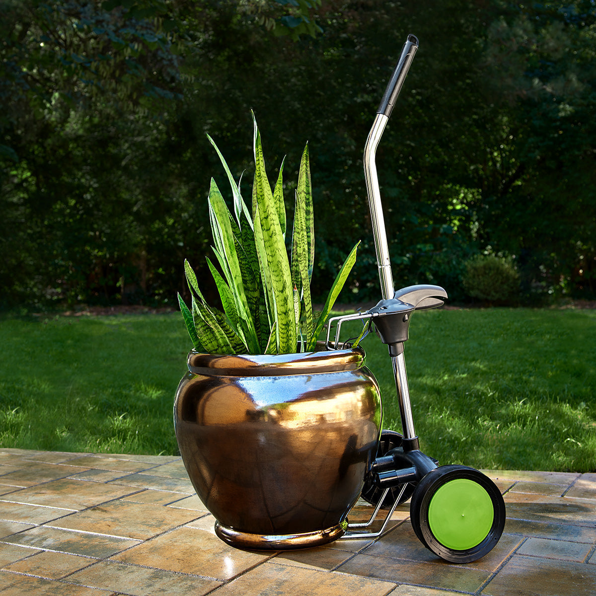 Plantenroller