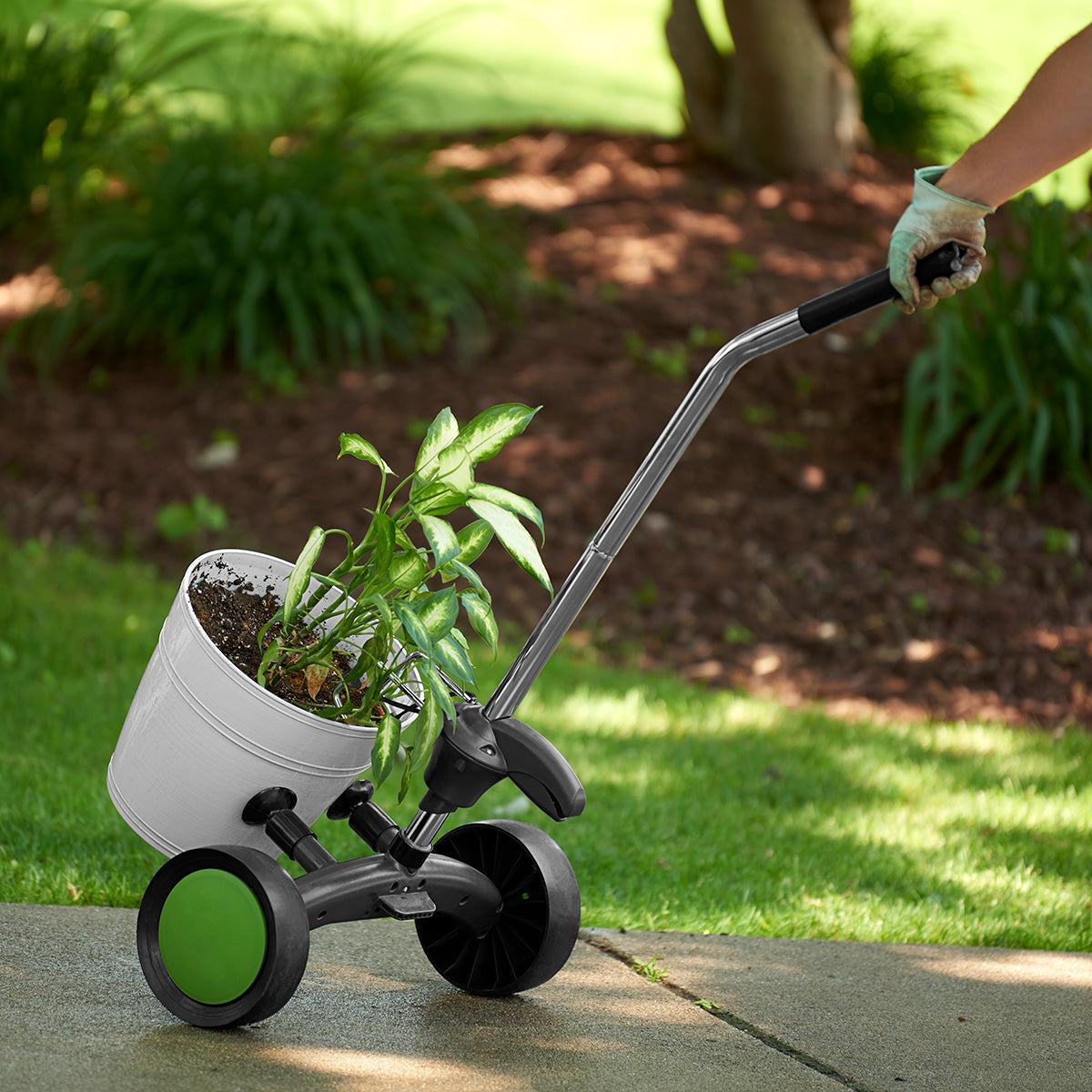 Plantenroller