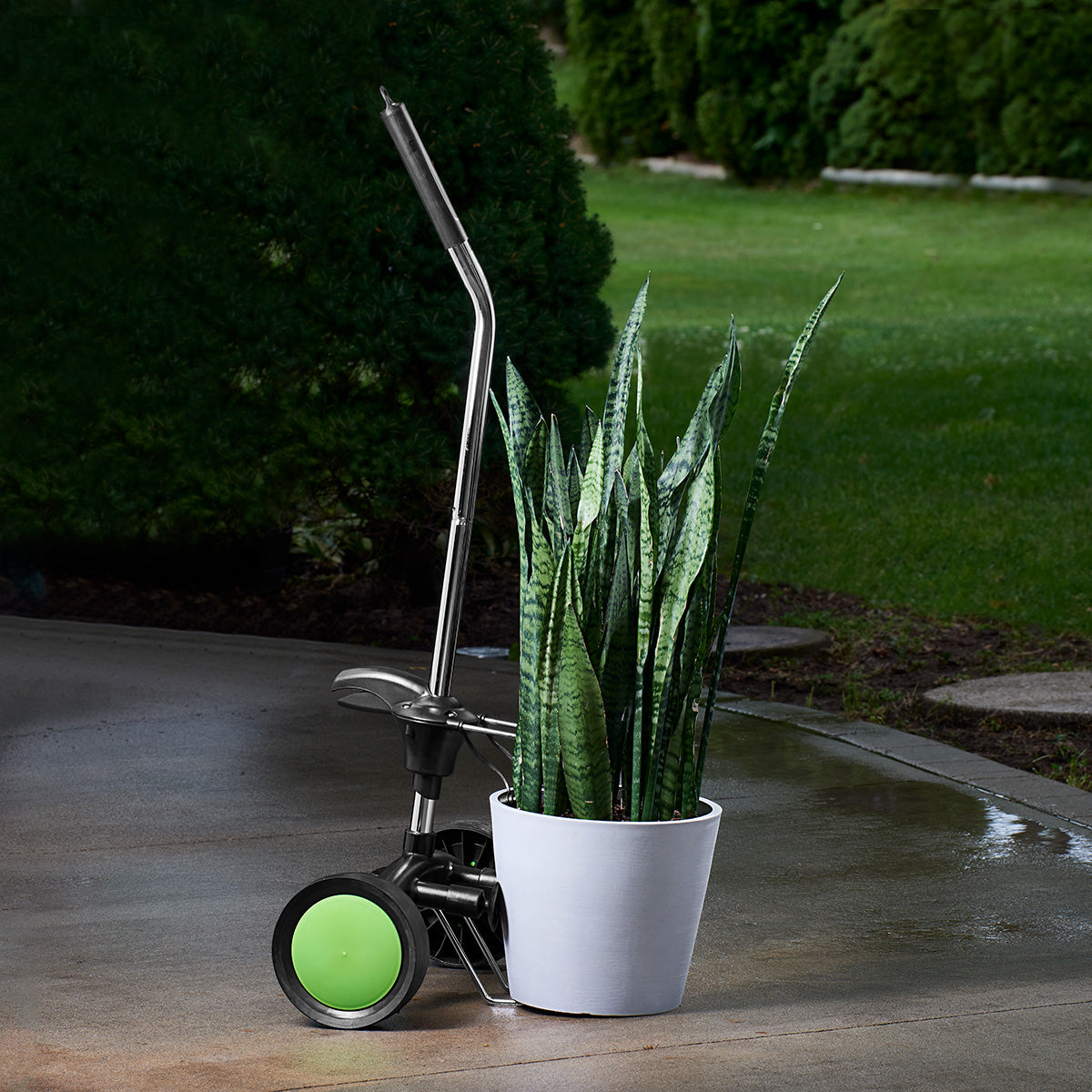 Plantenroller