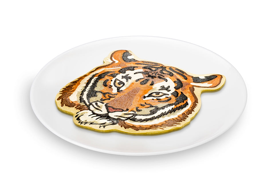Pancake Art Kit
