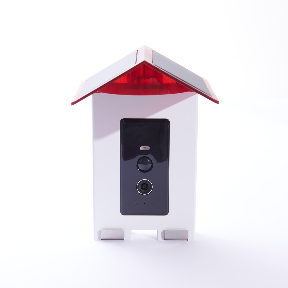 Kolibrie-voederbak met videocamera