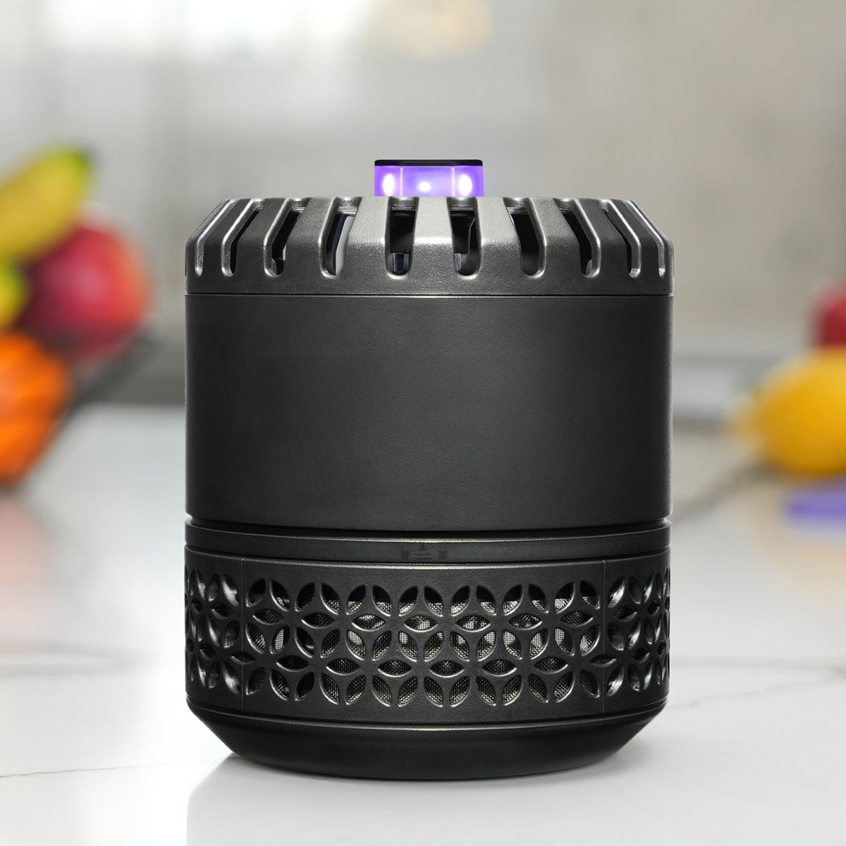 LED-fruitvliegentrap voor binnengebruik