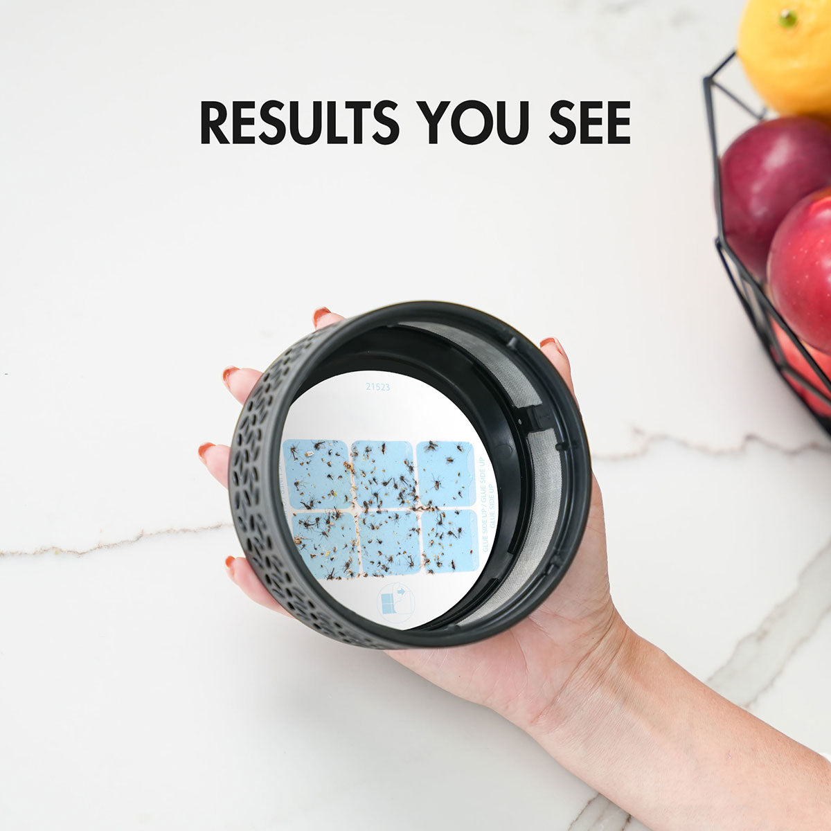 LED-fruitvliegentrap voor binnengebruik