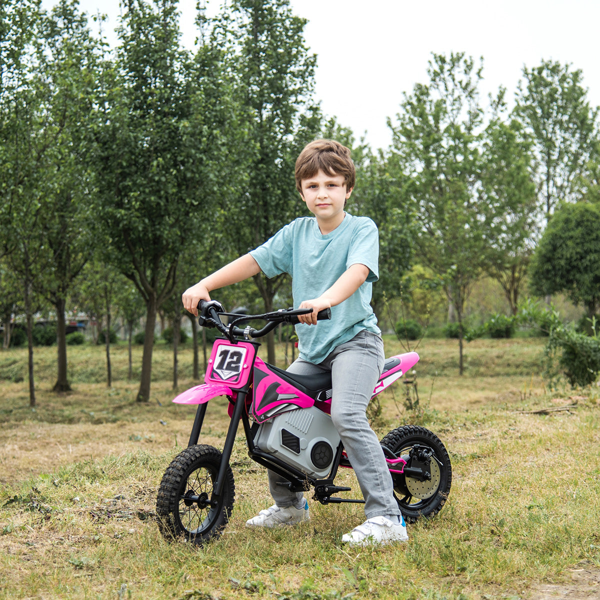 36V E-Crossmotor met borstelloze motor