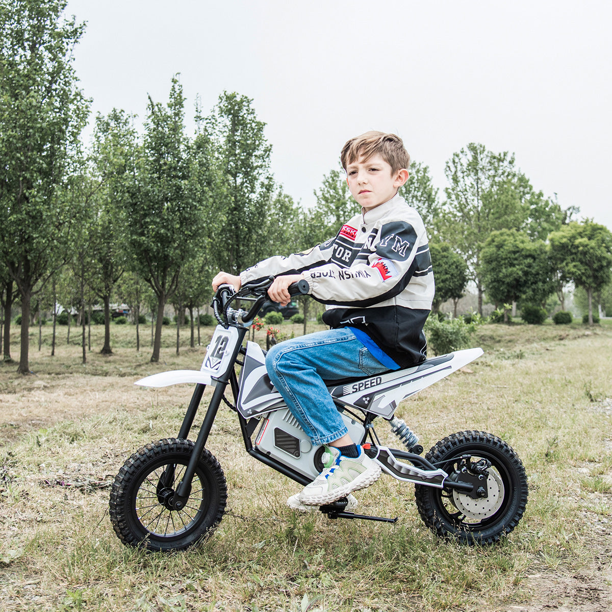 36V E-Crossmotor met borstelloze motor