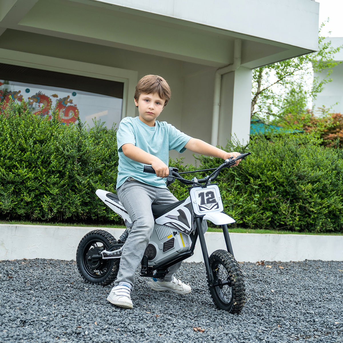 36V E-Crossmotor met borstelloze motor