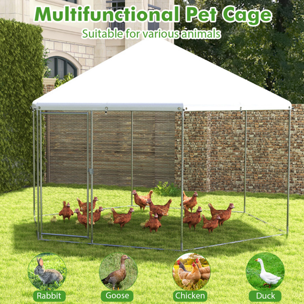 Gallinero de malla hexagonal de 13'