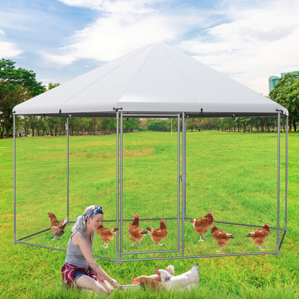 Gallinero de malla hexagonal de 13'