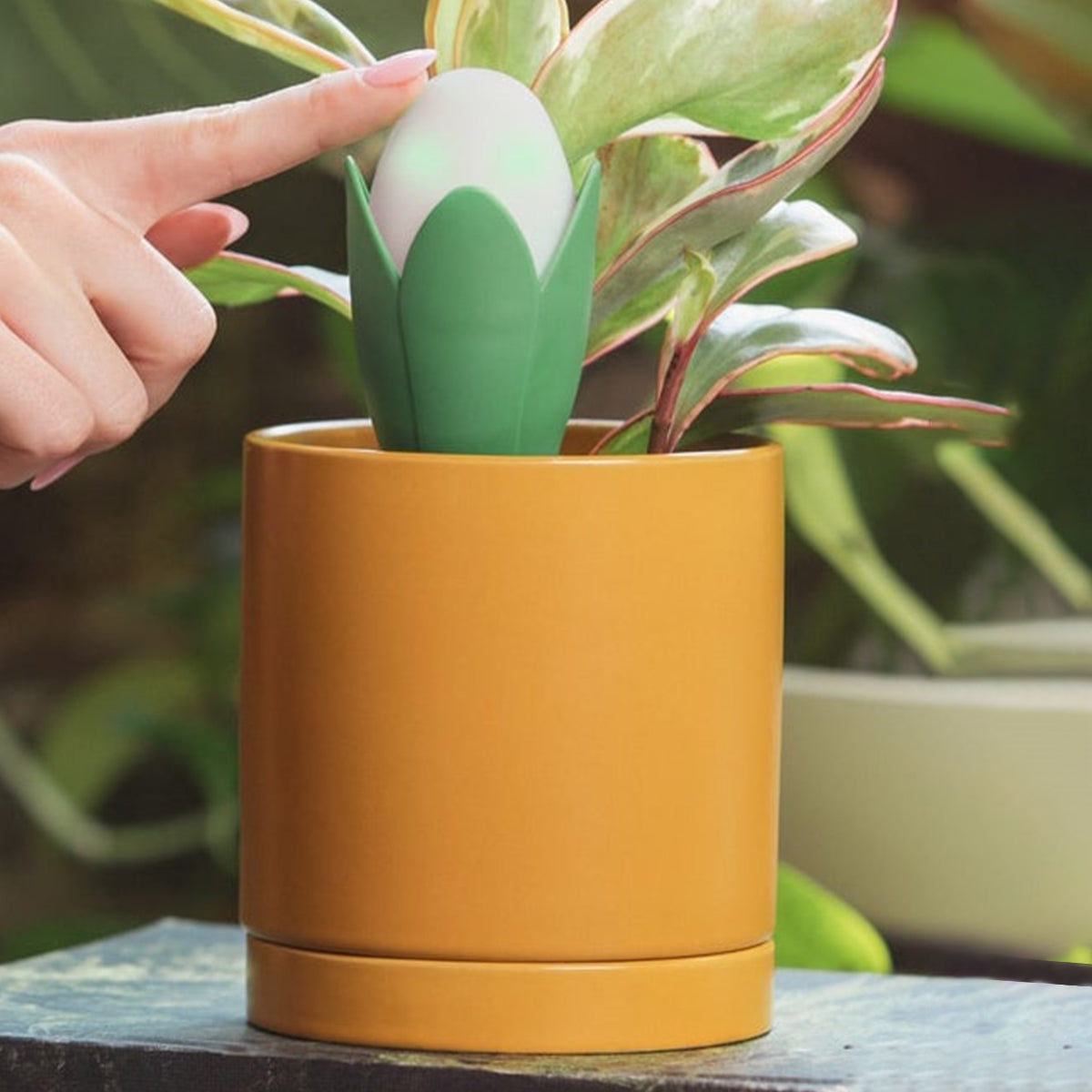 Flora Pod™ Slimme Plantenmonitor