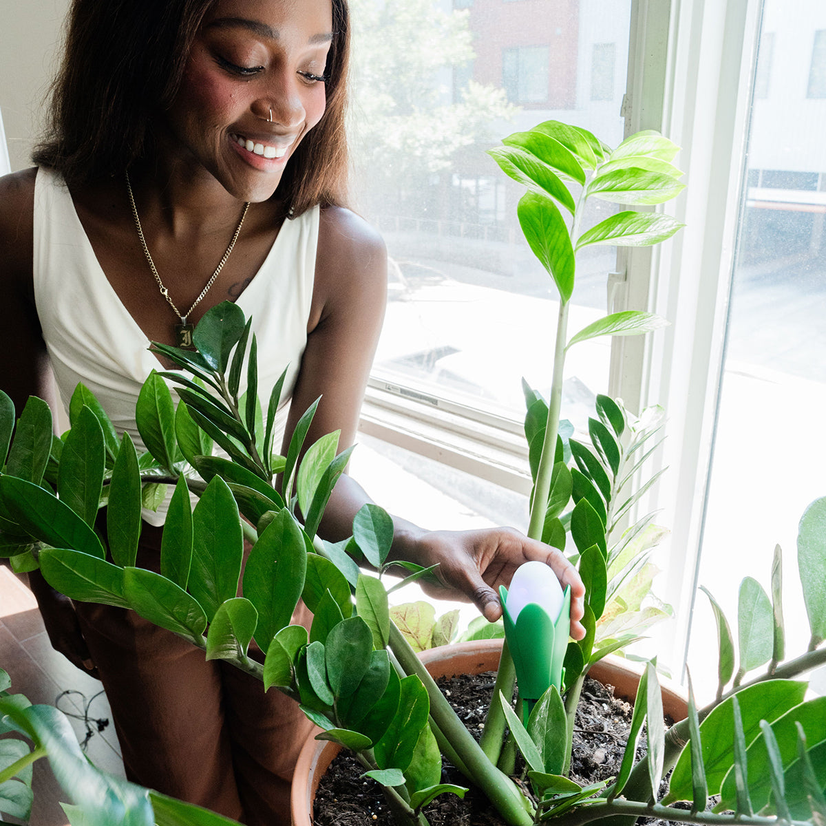 Flora Pod™ Slimme Plantenmonitor