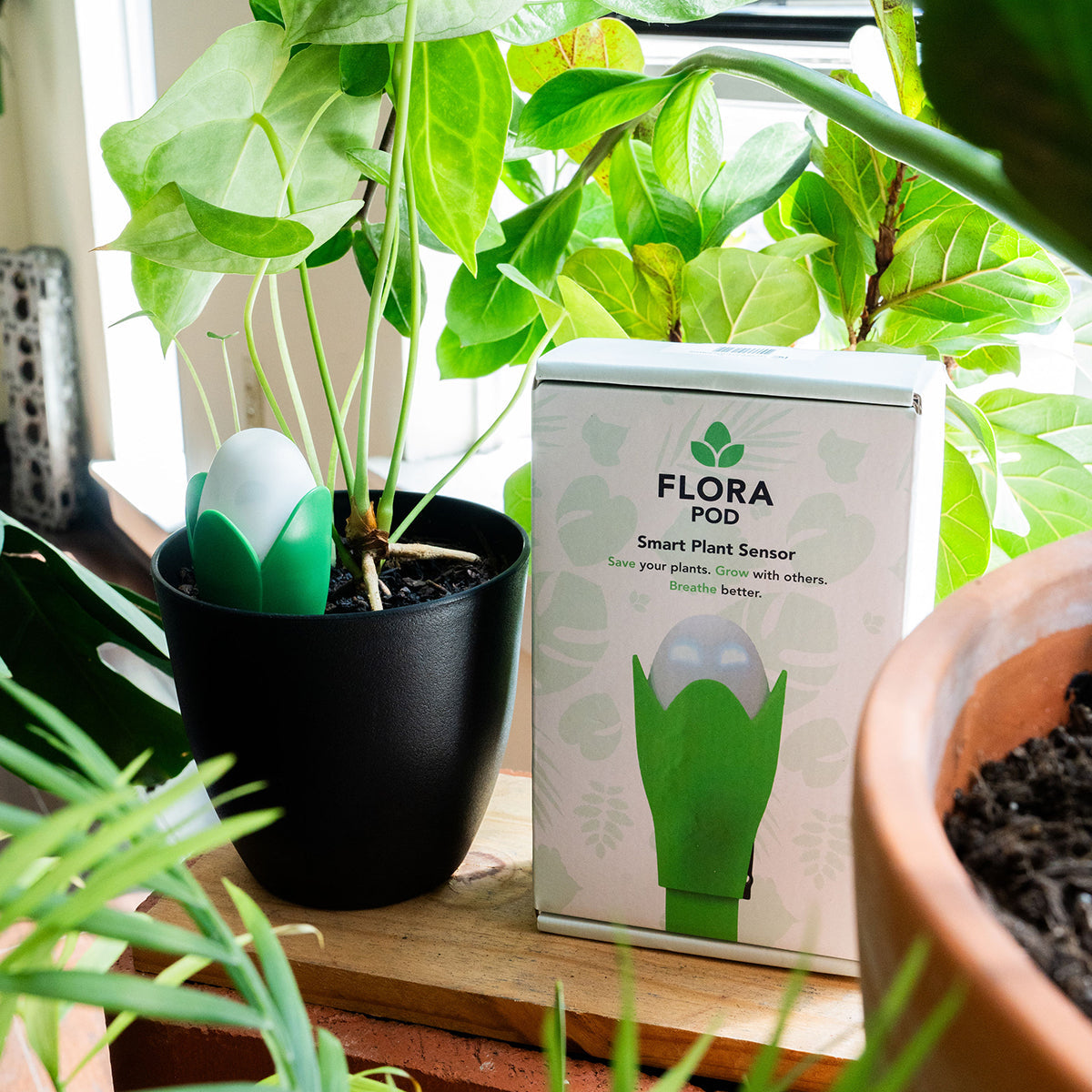 Flora Pod™ Slimme Plantenmonitor