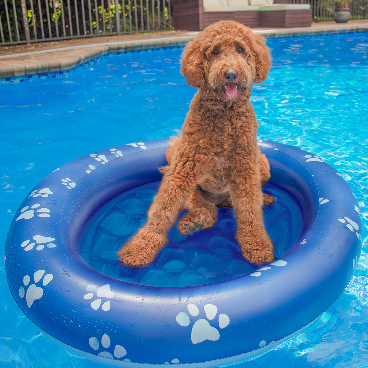 Flotador inflable para mascotas