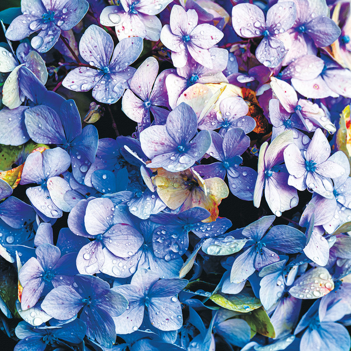 Rompecabezas florales