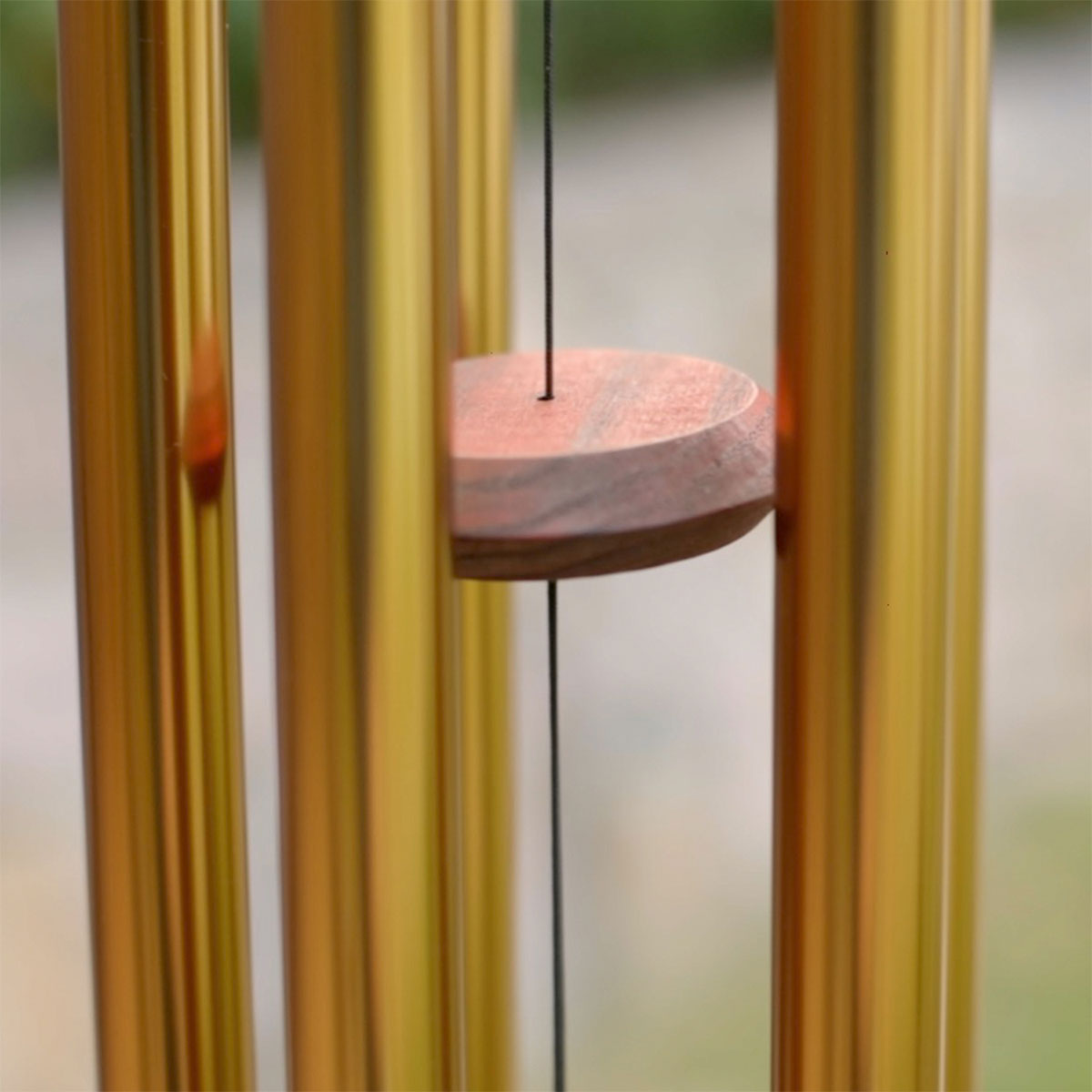 Campanadas de Venus